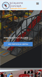 Mobile Screenshot of playzoneconcept.ro